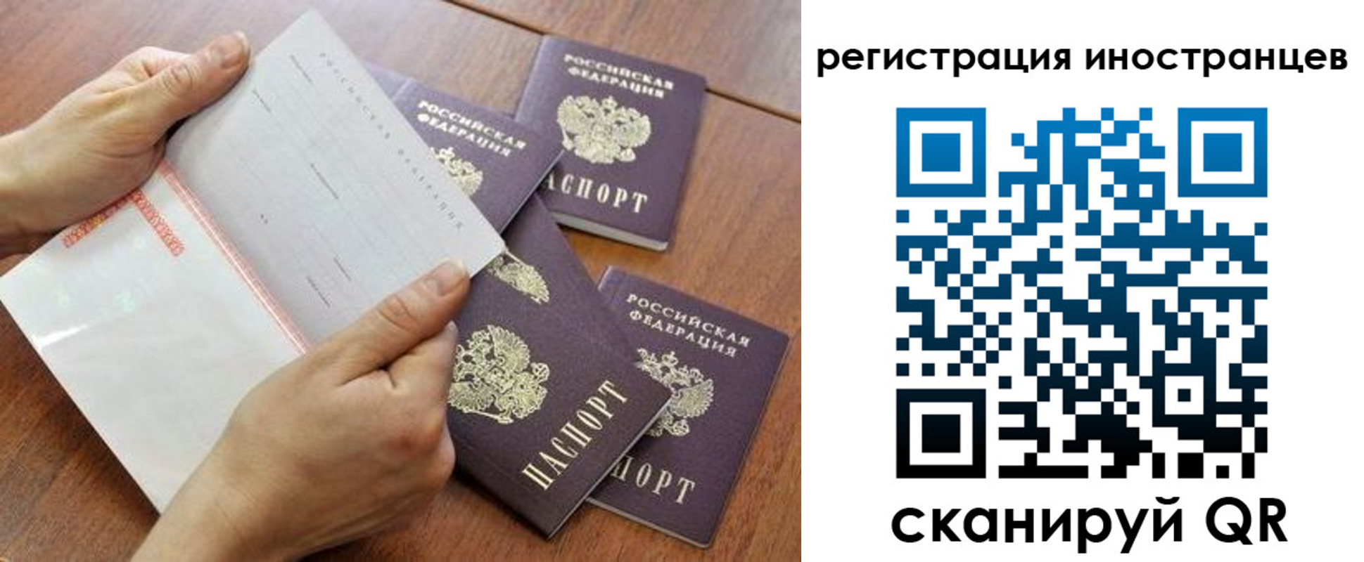 прописка поиск в Пересвете